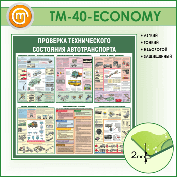 Стенд «Проверка технического состояния автотранспорта» (TM-40-ECONOMY)